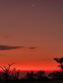 AfricaSunset.jpg